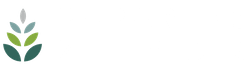 Papardes zieds